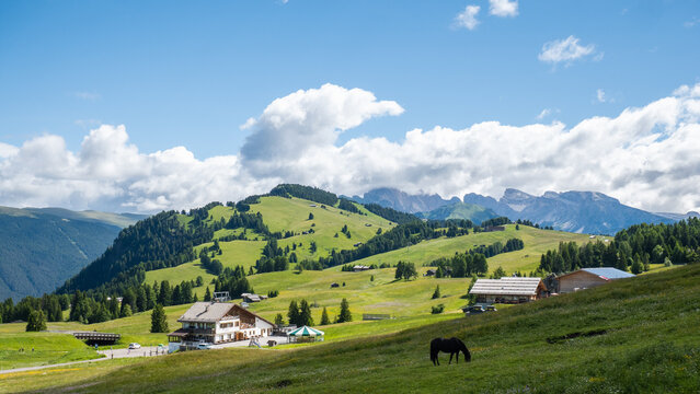Panorama of Alpe Di Siusi near Seis Am Schlern and Compatsch  on summer, Dolomites Mountains, Italy