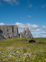 Panorama of Alpe Di Siusi near Seis Am Schlern and Compatsch with a view on Monte Pez on summer, Dolomites Mountains, Italy