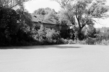 pond in Petipsy in Czechia on 23. July 2024 on black and white film - blurriness and noise of scanned 35mm film were intentionally left in image