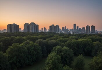 Silhouette of skyscrapers against a twilight sky with a tree in the foreground