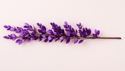 Obraz premium Purple flower branch on a light background, elegant and simple composition.