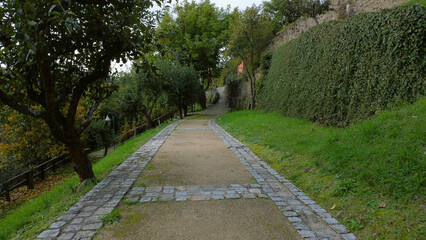 park, outdoor, green color, autumn forest, beautiful, nature, no people, botanical, path