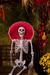 autumn vegetables, halloween, skeleton, exhibition, Halloween performance, day of the dead, fiesta,...