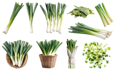 Leek, Scallion, spring onion vegetable plant stem stalk, many angles view side top front basket slice chop bundled isolated on transparent cutout, PNG file. Mockup template for artwork graphic design