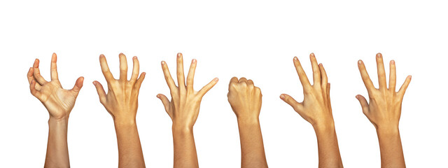 Raised arms with palms, forearms and fingers in different positions isolated on white