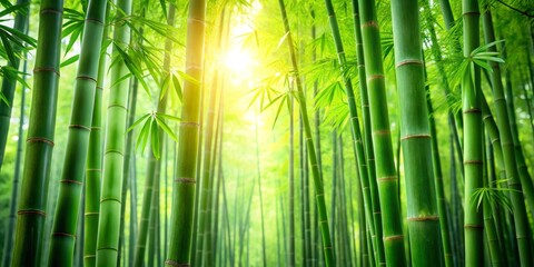 Sunlight Filtering Through a Lush Bamboo Forest, Nature Photography, Green Bamboo, Forest Photography, Zen Garden, Bamboo Grove, Nature