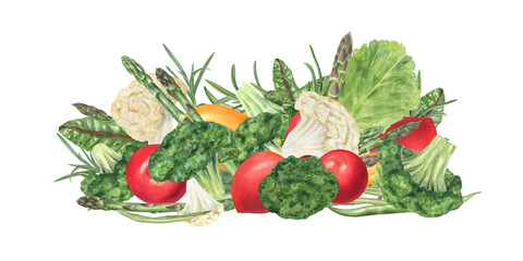 Tomato, broccoli, cauliflower florets, asparagus, beans with green seasoning herbs watercolor illustration. Summer garden vegetables with basil plant, oregano, shard salad, lettuce leaf, parsley