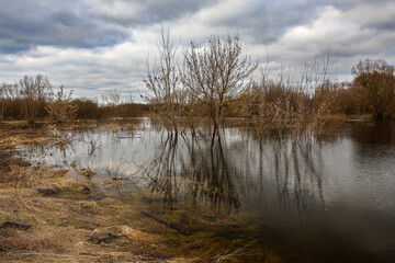 The Bug River in autumn, near Kryłów.