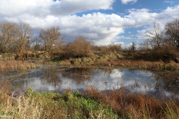 The Bug River in autumn, near Kryłów.