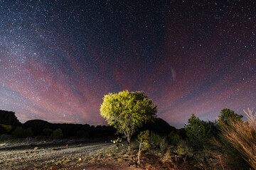 Hermoso anochecer, con el cielo estrellado en medio del camino rodeado de árboles entre las montañas, del desierto © Diego Iván