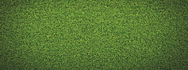 Aerial view, lush green grass texture, golf course fairway, perfectly manicured lawn, vibrant verdant carpet, sports field, natural background, groundskeeping perfection, seamless turf pattern, top-do