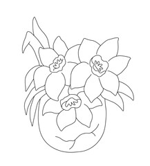 Outline of bouquet of daffodils with leaves growing in lilac eggshells. Vector illustration on a white background