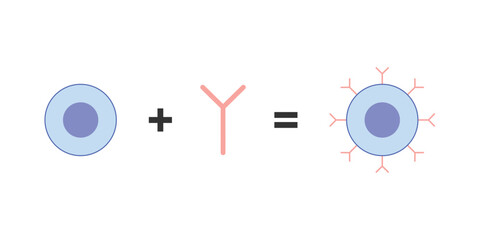 CAR T-cell Therapy Scientific Design. Vector Illustration.