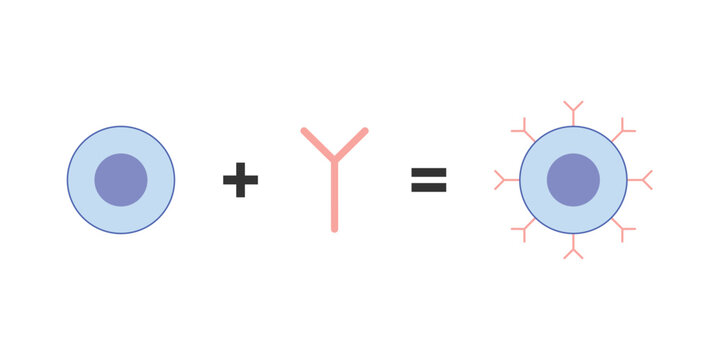 CAR T-cell Therapy Scientific Design. Vector Illustration.