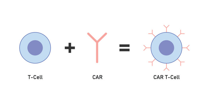 CAR T-cell Therapy Scientific Design. Vector Illustration.