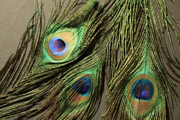 Fototapeta premium Many beautiful peacock feathers on light brown background, top view