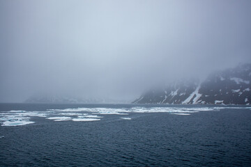 Misty Arctic Seascape with Icebergs