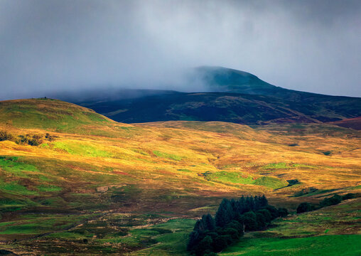Misty Hill, Lochwinnoch, Renfreshire, Scotlan, UK