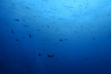 blue water background