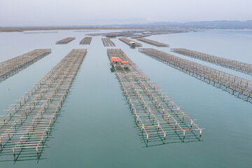 Oyster farm Ebro Delta