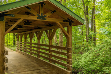 wooden bridge in the forest