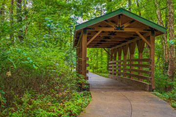 wooden bridge in the forest