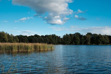 Ausblick über den Scharmützelsee bei Bad Saarow