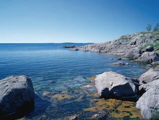 Rocky coastline with grass