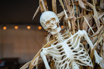 A human skeleton decor for Halloween.