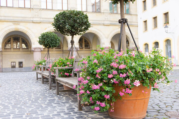 Fototapeta premium A place for rest in the old town - benches with flowers.