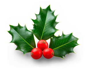 Three holly leaves arranged over three red berries isolated on empty background