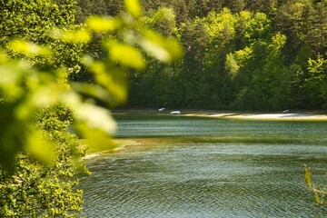 boat in lake with forest
