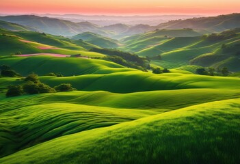 Obraz premium vibrant fields captured dawn rolling hills under soft morning light, aesthetic, ambiance, bright, bloom, blueprint, countryside, dawnsky, daylight