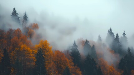 Autumn trees hidden in thick fog, with a path covered in golden leaves, creating a serene and mysterious fall forest atmosphere.
