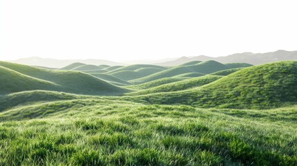 Fototapeta premium Expansive green meadow, isolated on white, with soft rolling hills. A serene and peaceful landscape