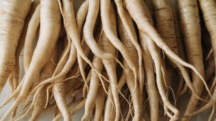 Fresh Shatavari roots closeup, Ayurvedic medicinal herb for wellness