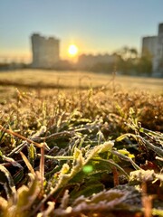 Fototapeta premium Photo of a magnificent sunrise on a cold autumn day. Frost on withered grass at the end of autumn.