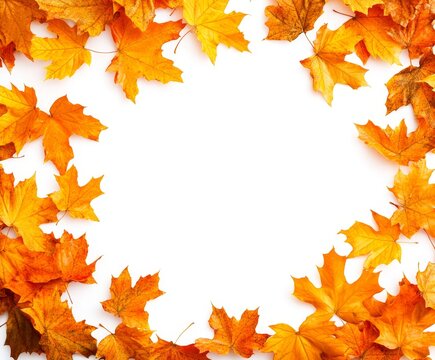An orange border with fall leaves, isolated on white