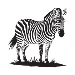 Obraz premium Zebra silhouette vector illustration