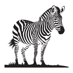 Obraz premium Zebra silhouette vector illustration