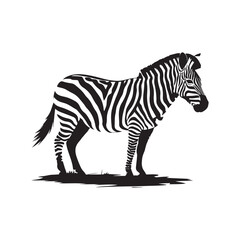 Obraz premium Zebra silhouette vector illustration