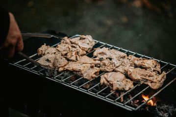 Chicken grilling on the BBQ