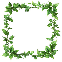 Avatar picture frame made of leaves, flowers and roots isolated on a transparent background, Graphic illustration for design mockup template