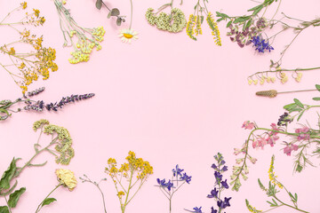 Frame made of dried flowers on pink background