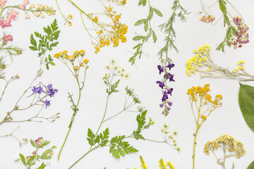 Dried flowers on light background, top view