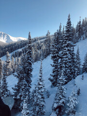 snow covered mountains