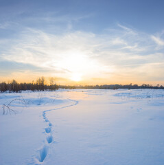 winter snowbound plain at the dramatic sunset