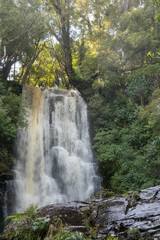 Obraz premium McLeans waterfall in the Catlins Conservation Park, New Zealand. Portrait orientation showing the water cascading down rocks, with trees in background.