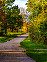 Einzigartige Herbststimmung in der Natur im Donaupark bei Sonnenschein