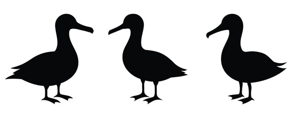 Albatross Silhouette Bundle vector illustration